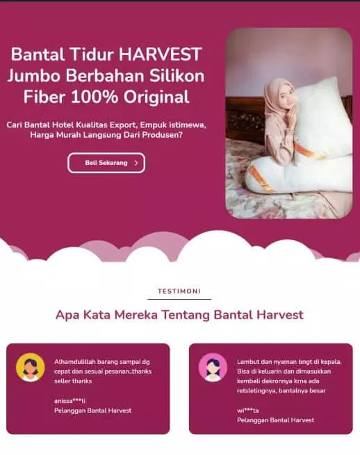 halaman website landing page produk bantal