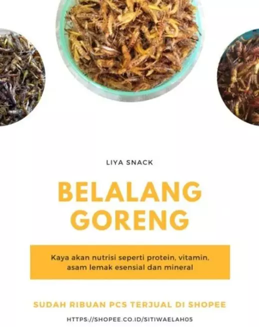 halaman website landing page produk belalang goreng