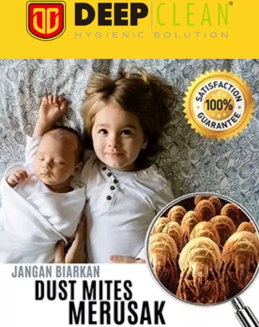 halaman website landing page produk deep clean