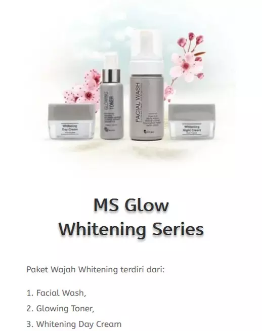 halaman website landing page produk msglow